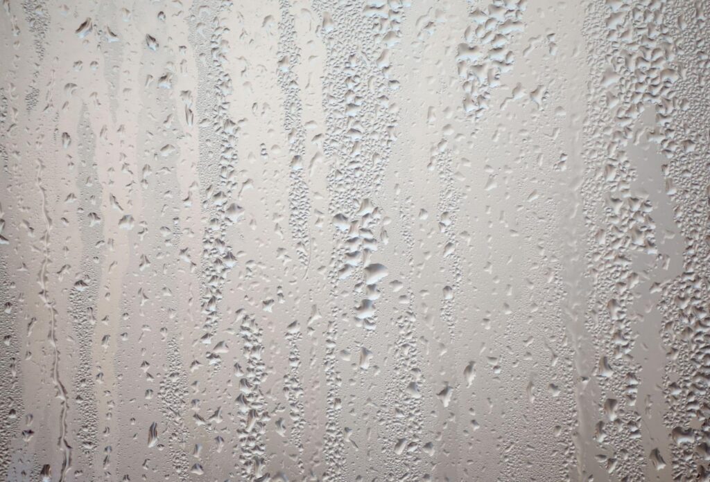 Condensation beading on a cool basement wall during humid summer weather.