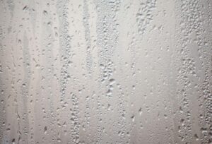 Condensation beading on a cool basement wall during humid summer weather.