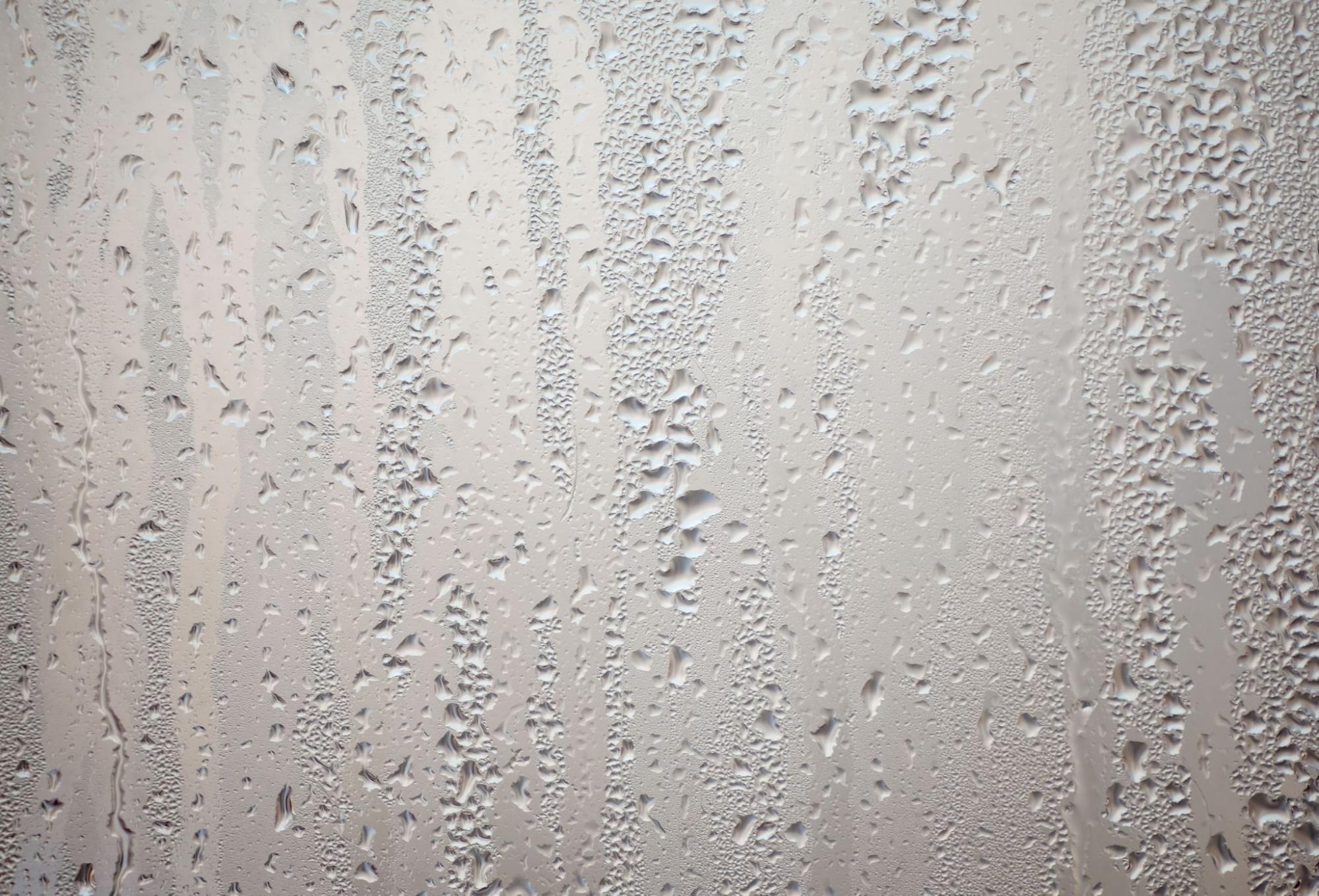 Condensation beading on a cool basement wall during humid summer weather.